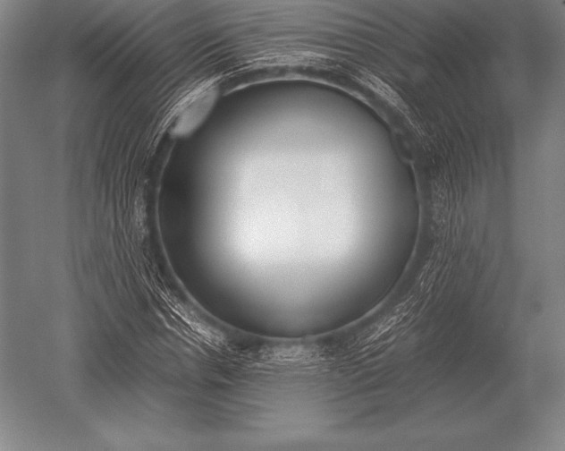 X0000052610826200507081844