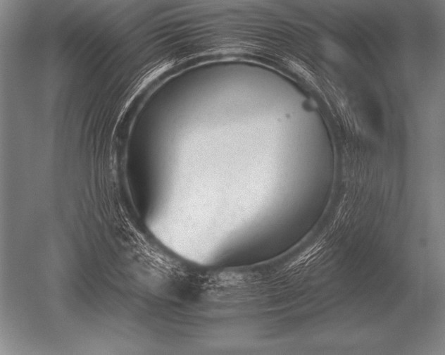 X0000052610827200507081844