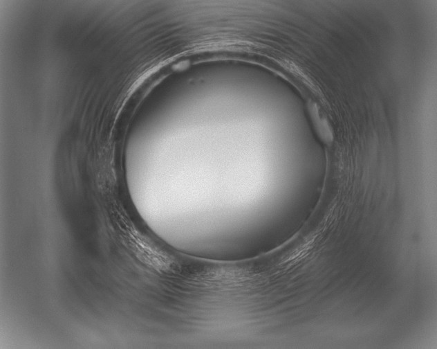 X0000052610830200507081844