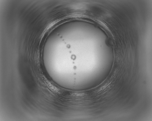 X0000052610831200507081844