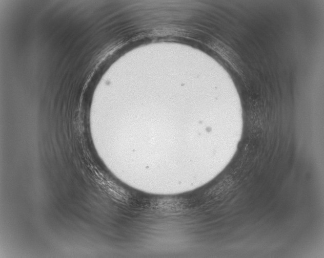 X0000052610832200507081844