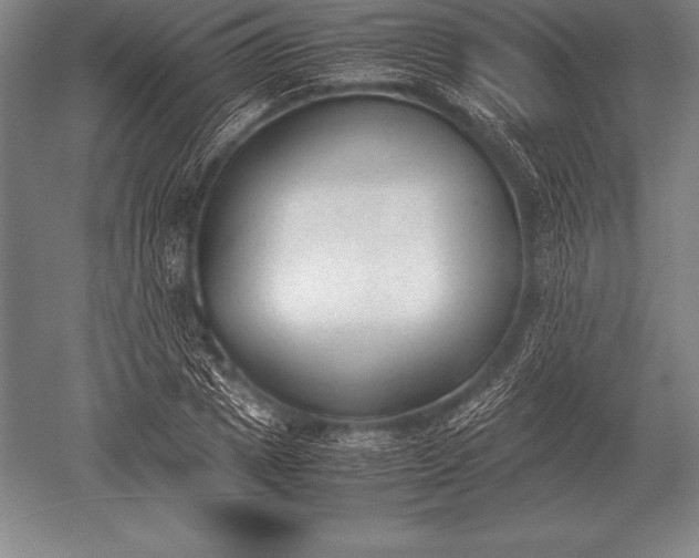 X0000052610833200507081844