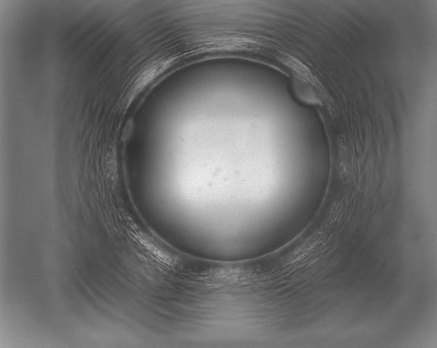 X0000052610834200507081844