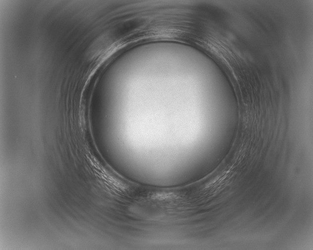 X0000052610835200507081844