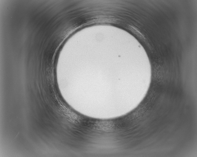 X0000052610836200507081844