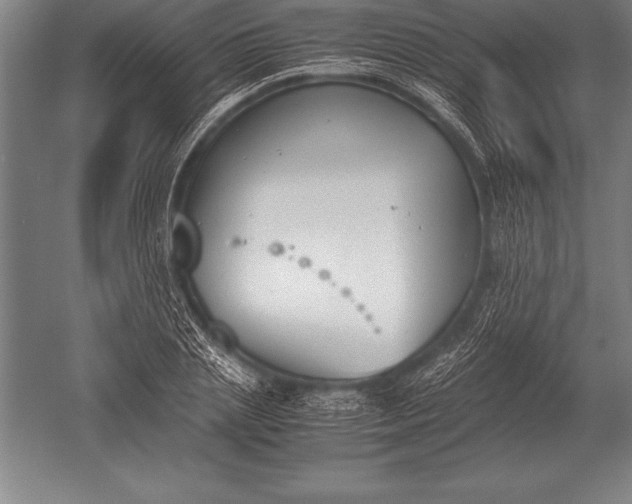 X0000052610837200507081844