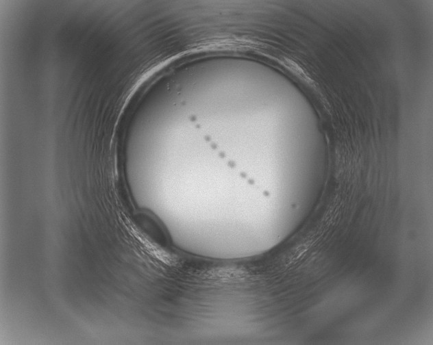 X0000052610838200507081844