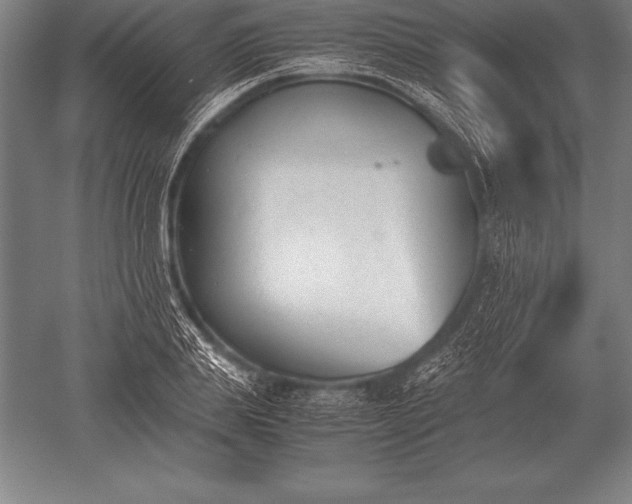 X0000052610839200507081844