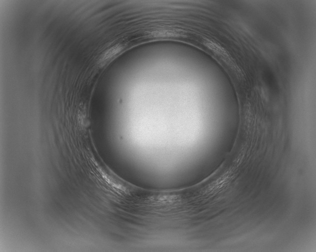 X0000052610841200507081844