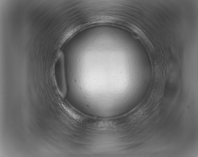 X0000052610842200507081844