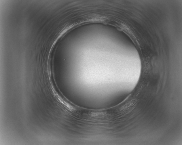 X0000052610843200507081844