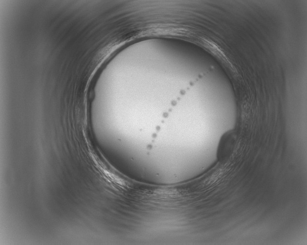 X0000052610844200507081844