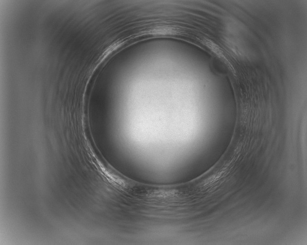 X0000052610845200507081844