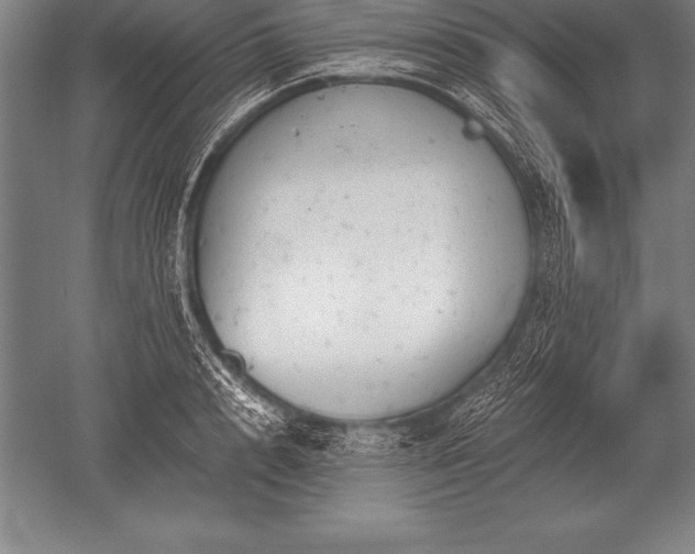 X0000052610848200507081844