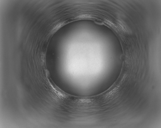 X0000052610849200507081844