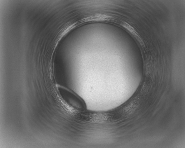 X0000052610850200507081844