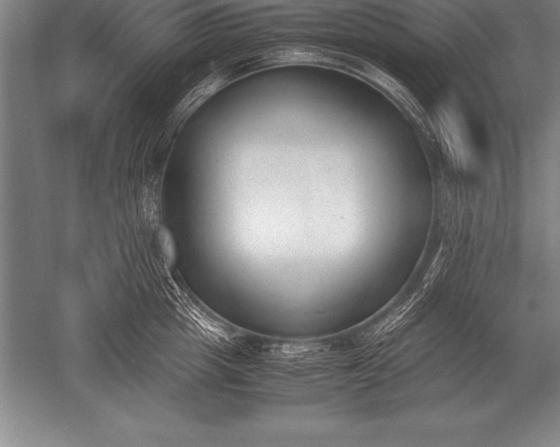 X0000052610857200507081844