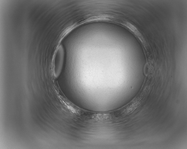 X0000052610858200507081844