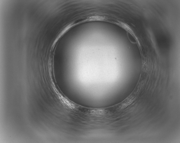 X0000052610859200507081844