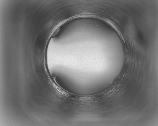 X0000052610861200507081844