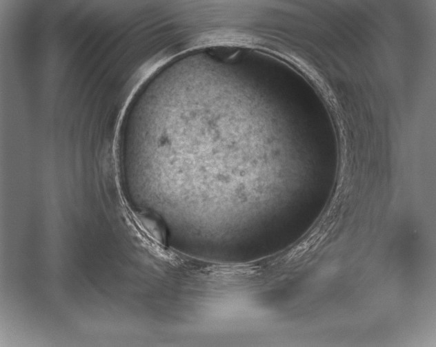 X0000052610864200507081845