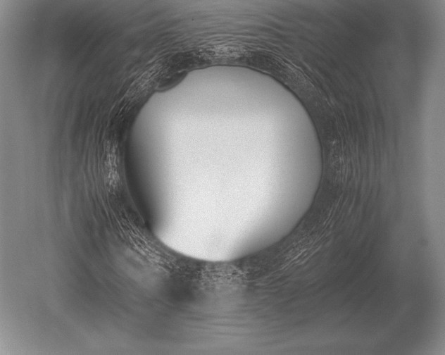 X0000052610866200507081844