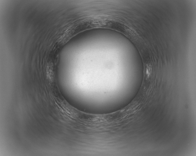 X0000052610867200507081844