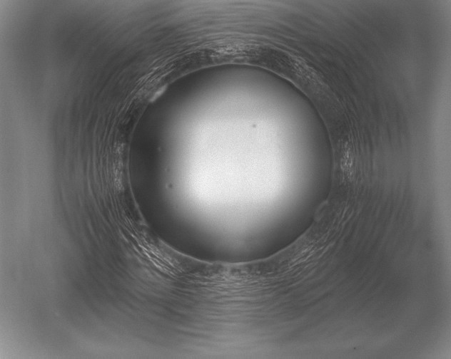 X0000052610868200507081844