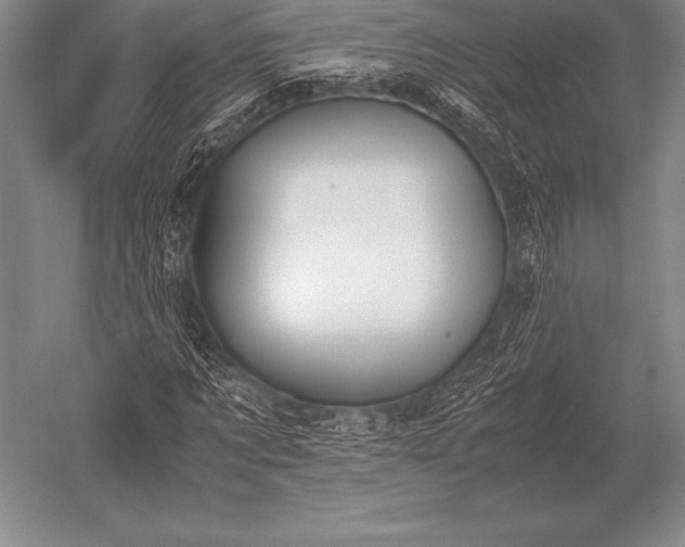 X0000052610869200507081844