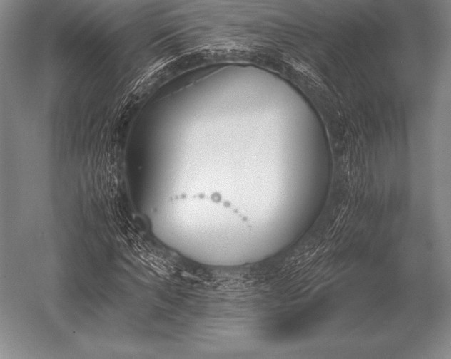 X0000052610870200507081844