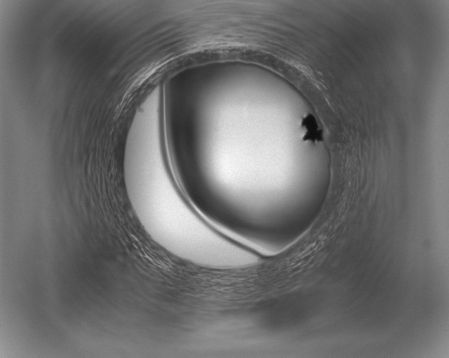 X0000052610871200507081844