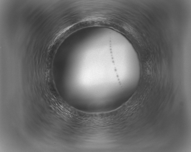 X0000052610872200507081844