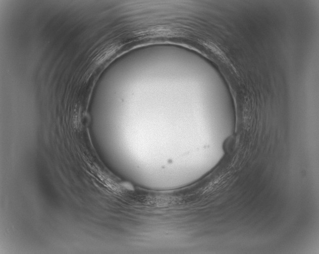 X0000052610873200507081844