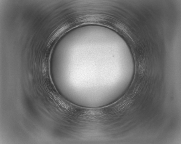 X0000052610874200507081844