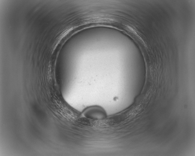 X0000052610875200507081844