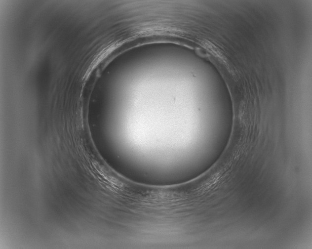 X0000052610877200507081844