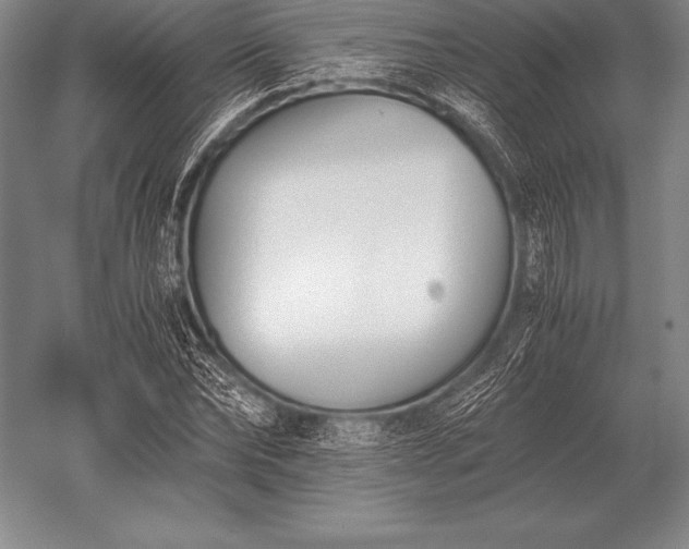 X0000052610878200507081844