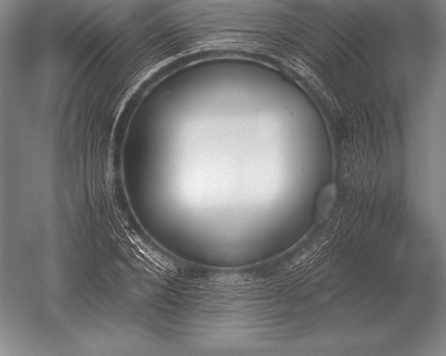 X0000052610880200507081843