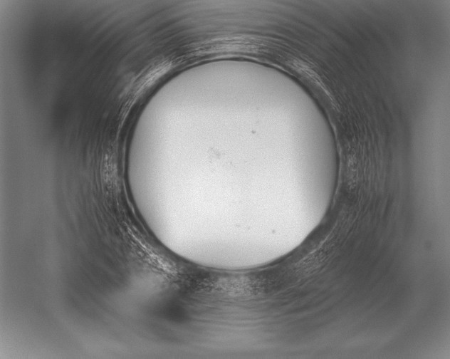 X0000052610882200507081843