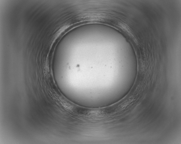 X0000052610883200507081843