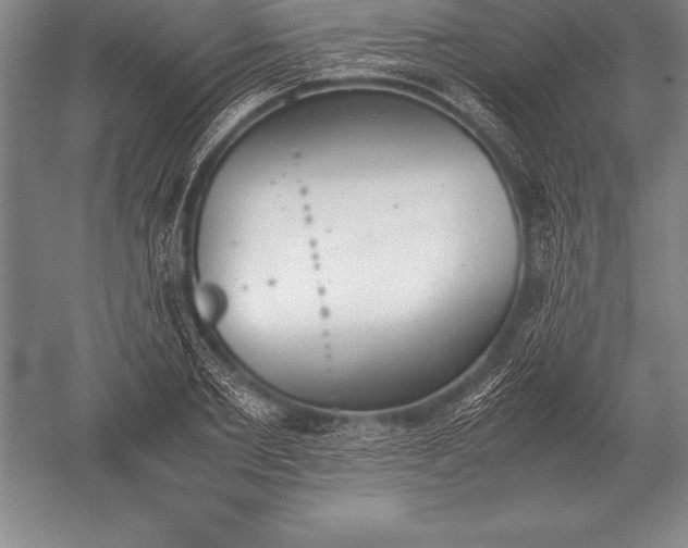 X0000052610885200507081843