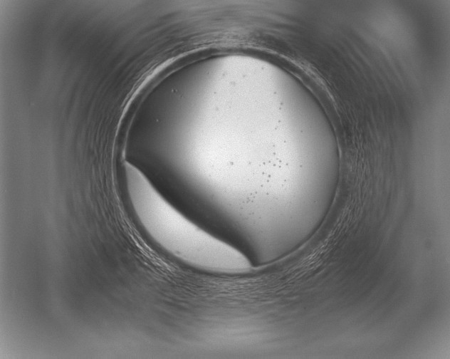 X0000052610887200507081843