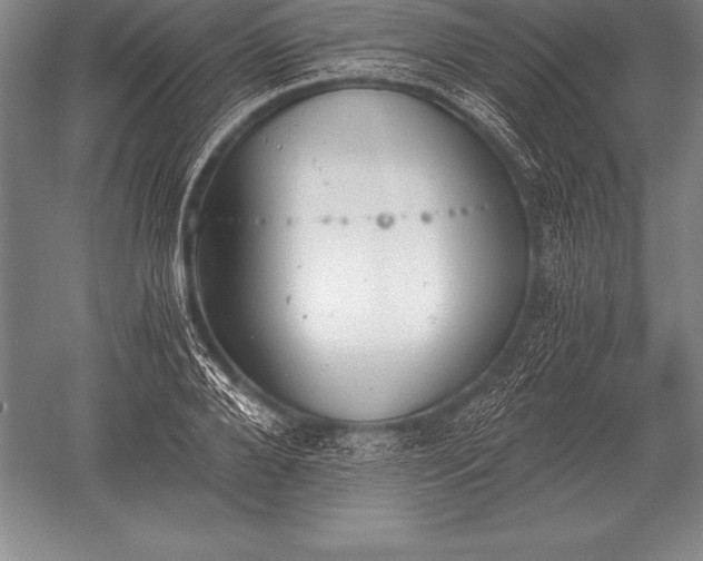 X0000052610888200507081843