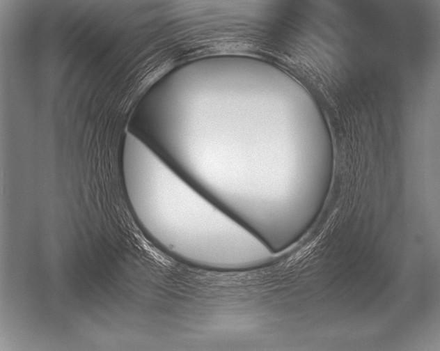 X0000052610889200507081843