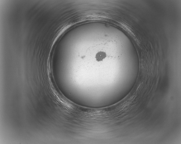 X0000052610891200507081843