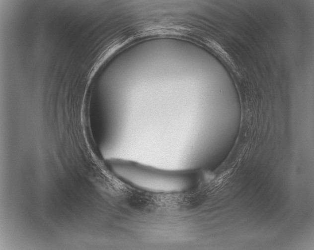 X0000052610893200507081843