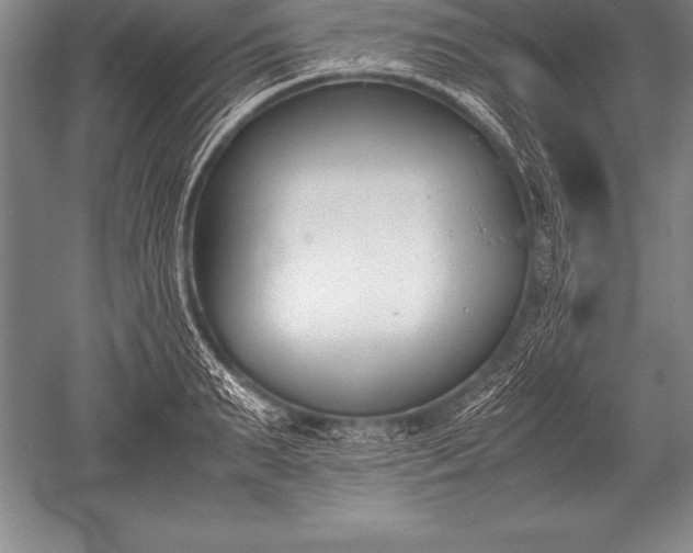 X0000052610895200507081843