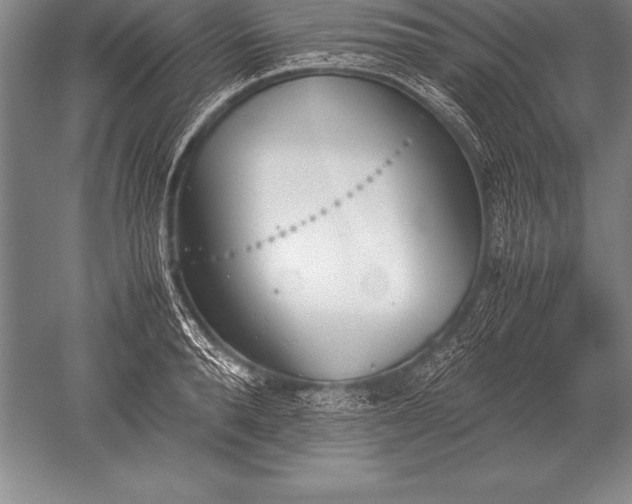 X0000052610896200507081843