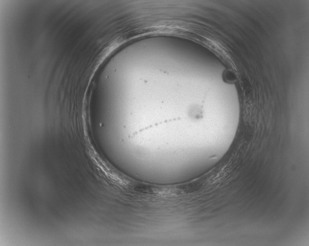 X0000052610899200507081843