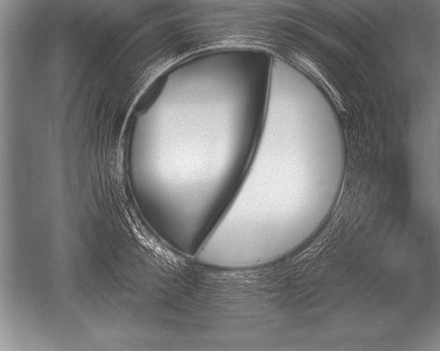 X0000052610900200507081843